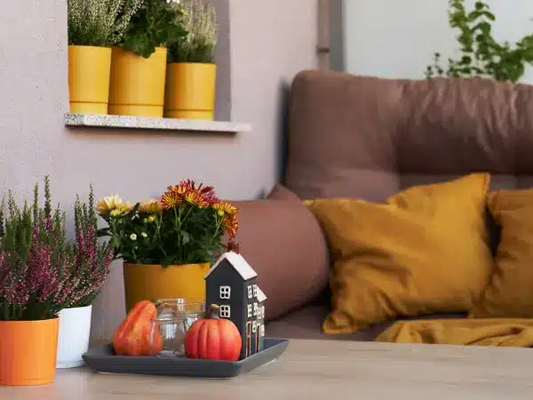 balcony with orange autumnal cushions and plant pots