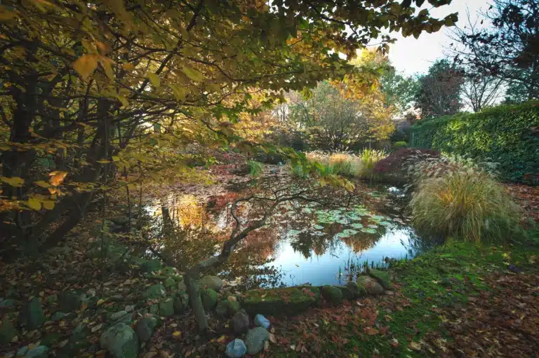 Garden pond surrounded by autumn trees that are reflected in the water