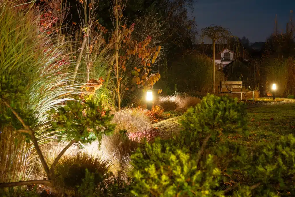 garden at night illuminated by outdoor path lights