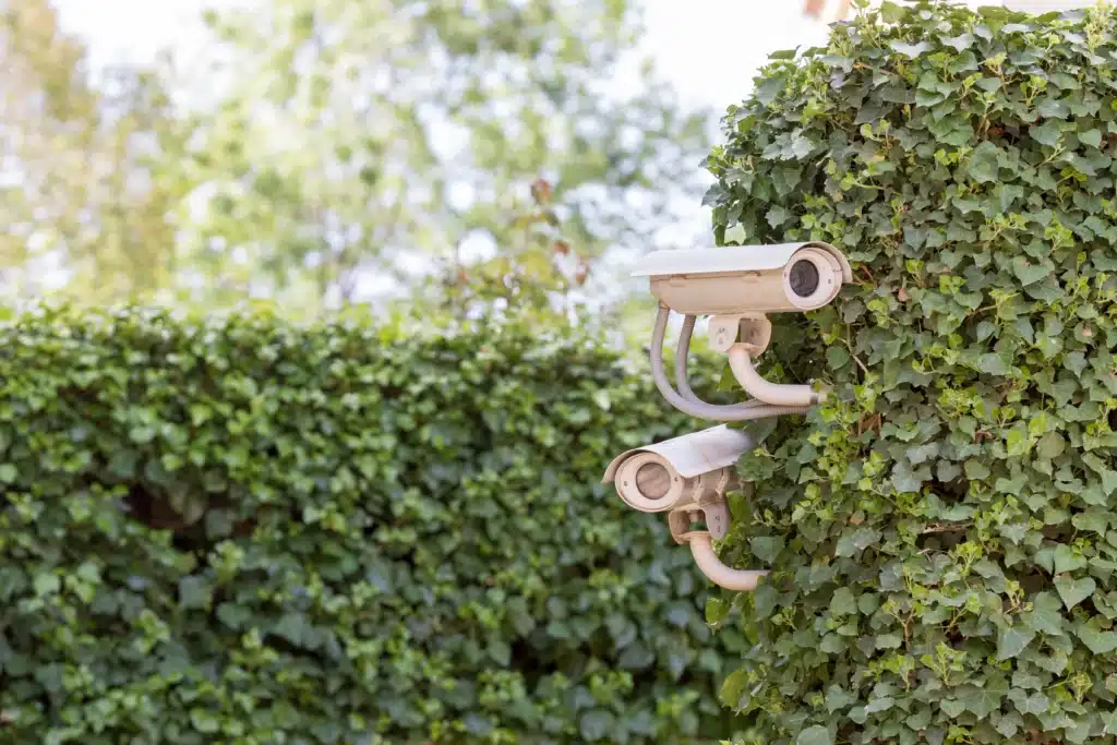 two cctv cameras mounted in a garden hedge