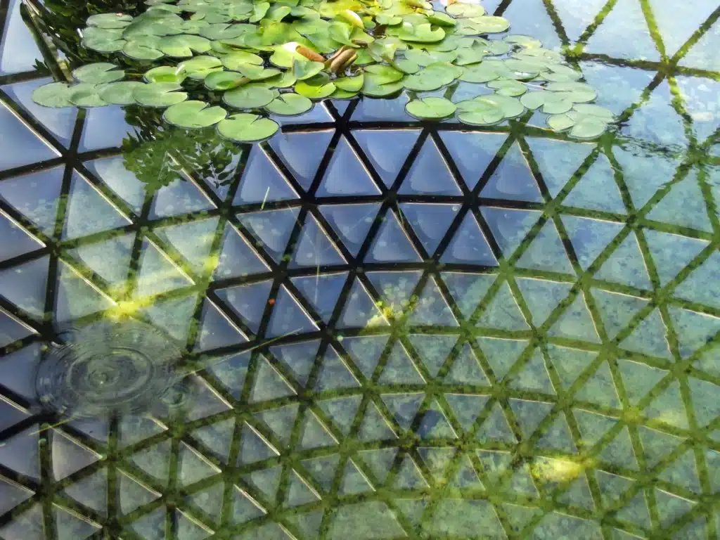 pond surface with the reflection of a glass dome roof on the surface