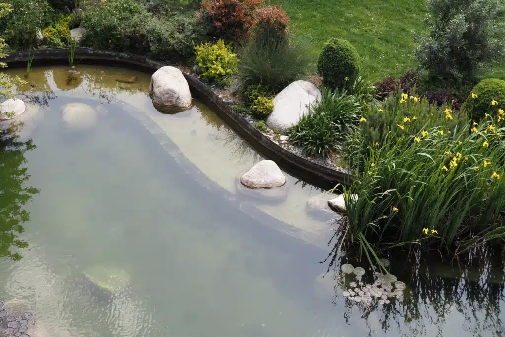 birds eye view of a pond with rocks and greenery around the edge